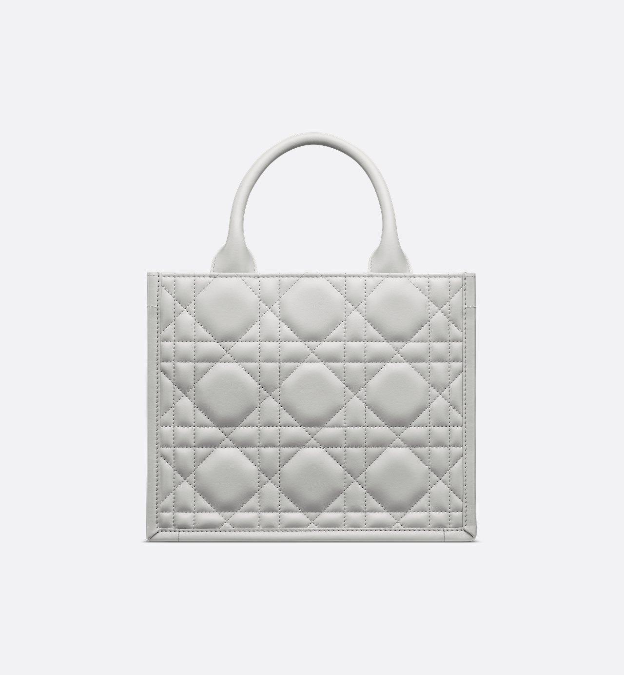 Sac Dior Book Tote Small