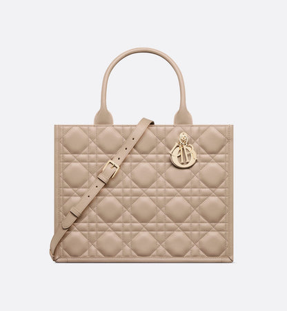 Sac Dior Book Tote Medium