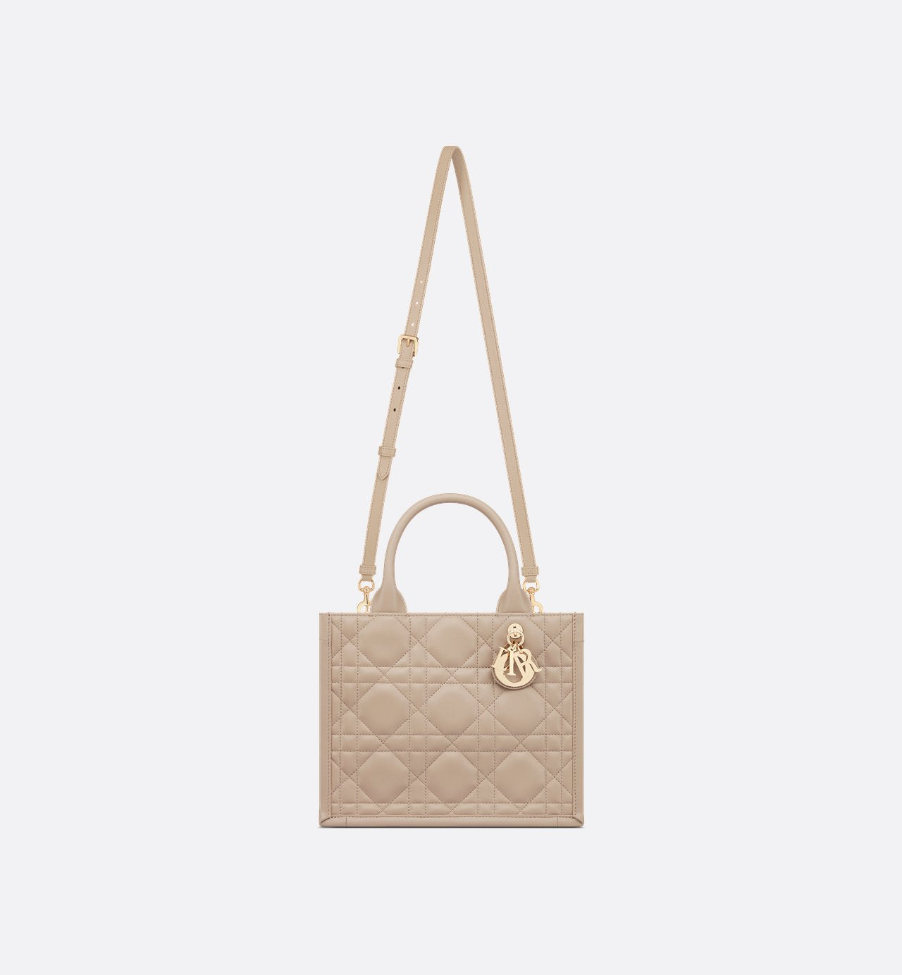 Sac Dior Book Tote Small