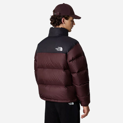 Veste Nuptse - Marron